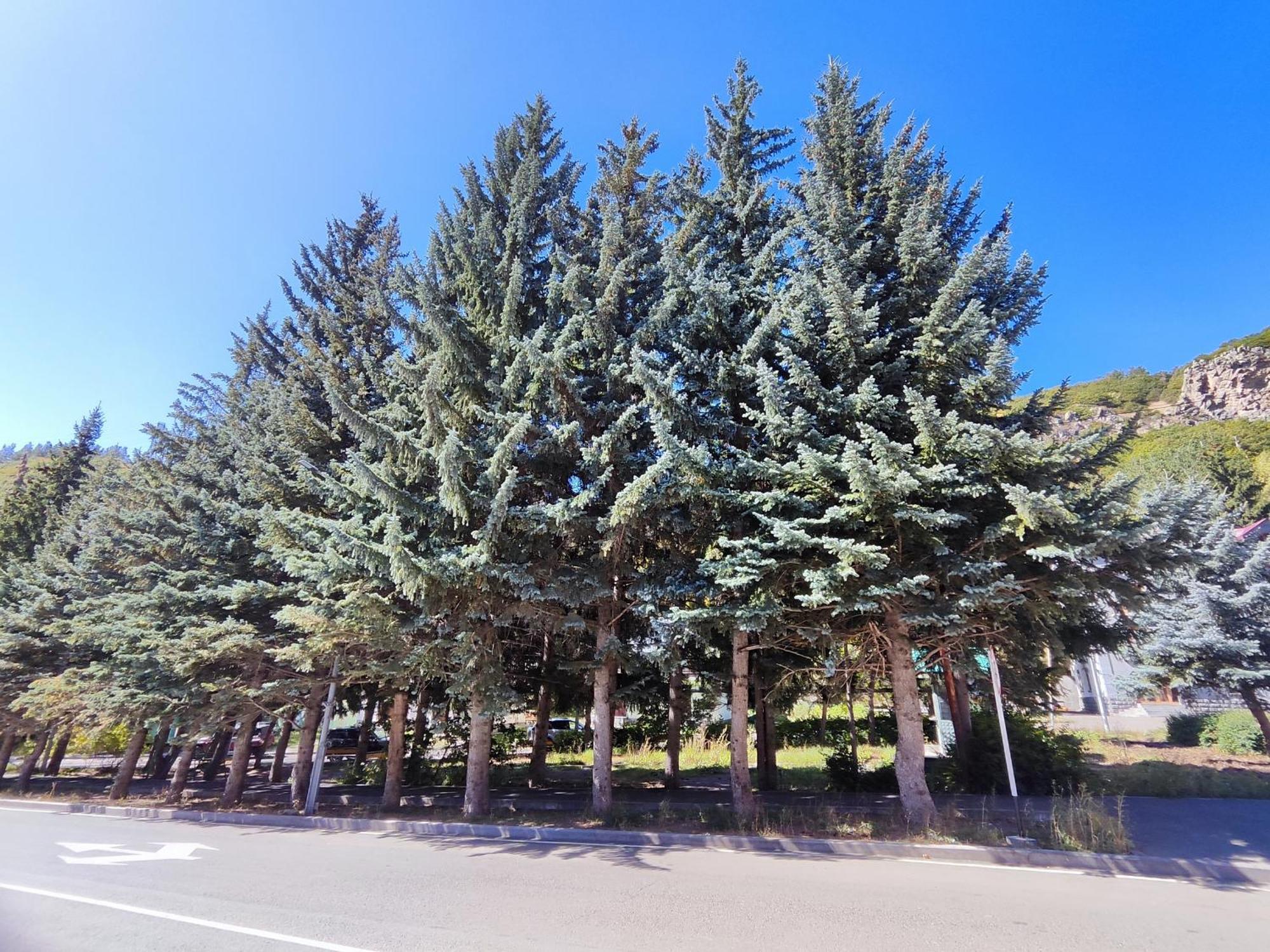 Jermuk Mini Apartment エクステリア 写真